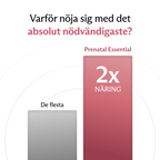 Prenatal Multi